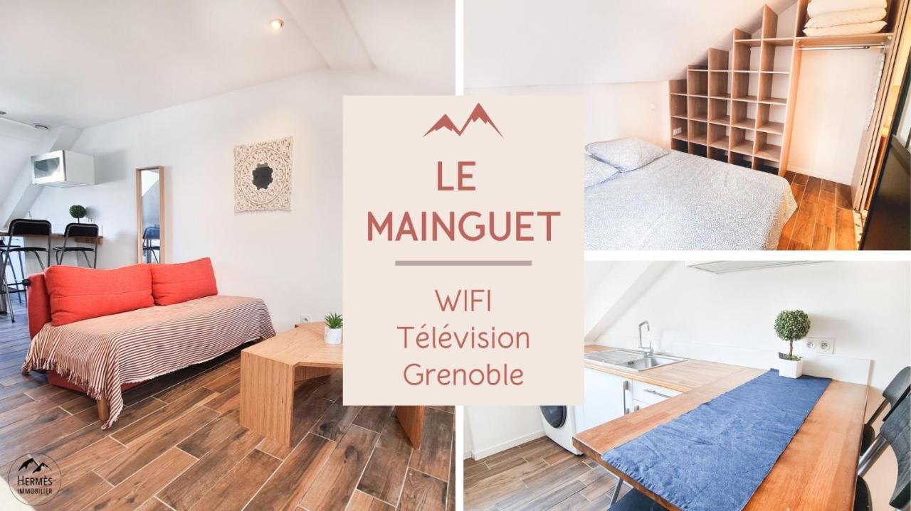 Le Mainguet - Appartement Cosy - Гренобль Екстер'єр фото